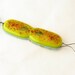 Pseudomonas Bacteria Pendant Fused Glass