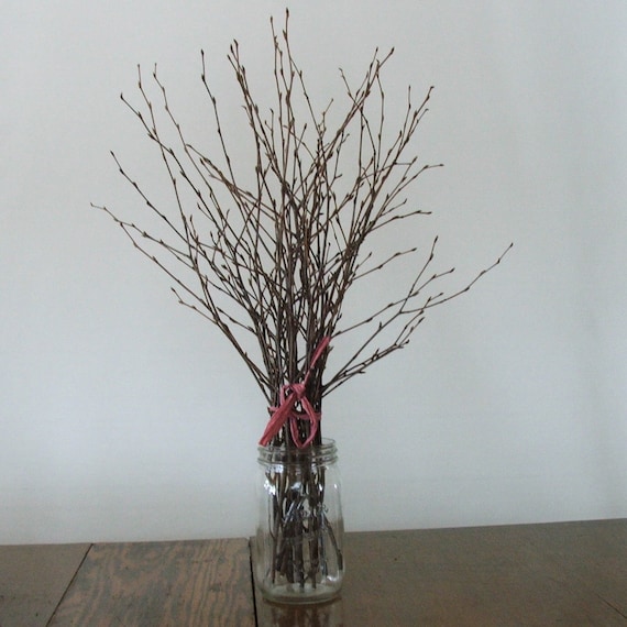 Natural BIRCH Twigs rustic decor Event Centerpieces.