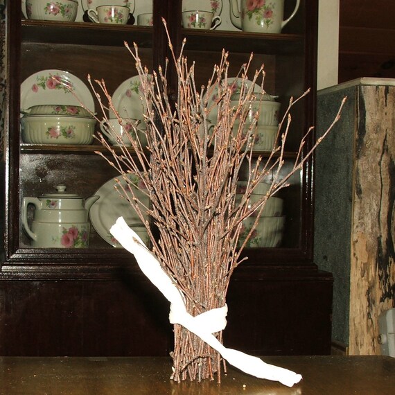 Natural BIRCH Twigs rustic decor Event Centerpieces.
