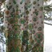 Retro French Fabric International Inc Orginal Design Brite Colored Wild Fabric 60's 70's 2 Yards