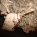 SALE Mexican Crazy Lace Agate Sterling Silver Pendant