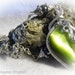 Lime Green Cats Eye Wire Wrapped Necklace