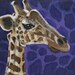 ACEO Original Giraffe at the Zoo Collectible Painting