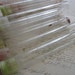 13 vintage glass cigar tubes