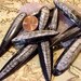 Lot of 4 Fossil Orthoceras drilled cabs, jewelry supplies, focal bead, pendants 11tu322