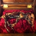 Lovebug, the Mummified Pig