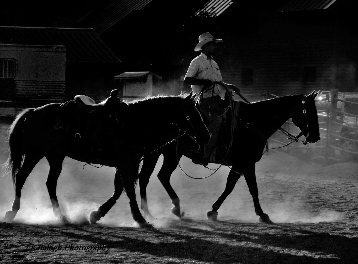 Portrait Photography Equestrian Art Western Cowboy at work