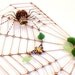 Handmade Copper Spider Web Spider and Bug Perfect Gift for Entomologists and Bug Lovers