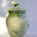Storage canister jar with lid and shell design