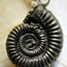 Pendant, RARE Fossil Ammonite Cluster, Pyrite, Thuya-wood Box , Valentine, P3026