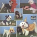 Designer Doggie Outfits - Simplicity Pattern 9884 - Dog Coat Hat Cape Bows Costumes - Size S/M - UNCUT