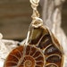 AMMONITE FOSSIL STONE PENDANT GOLD WIRE WRAPPED ON CORD