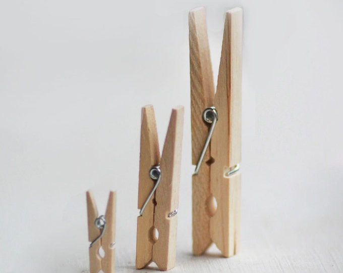 Small Natural Wooden Clothespins Set of 12
