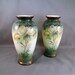 Vintage Pair of Vases, American Sevres Style with Roses