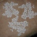Vintage French Chantilly Lace Appliques white