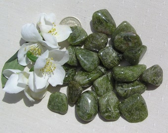 10 Green Idocrase Crystal Tumblestones, Vesuvianite Crystals, Green Crystals, Crystal Collection, Meditation Stone, Worry Stone, Chakra