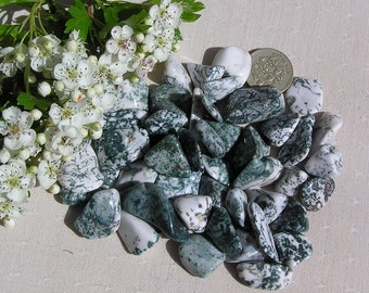 10 Tree Agate Crystal Tumblestones, Green Crystals, White Crystals, Crystal Collection, Chakra Crystals, Gemini, Meditation Stone, Aura