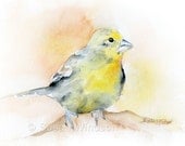 Goldfinch Watercolor Painting - 11 x 14 - Giclee Print - Bird Art Goldfinch Watercolor Painting - 11 x 14 - Giclee Print - Bird Art