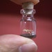 Tyrannosaurus in a tiny bottle