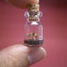 Stegosaurus in a tiny bottle