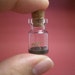 Tyrannosaurus / T-Rex in a tiny bottle