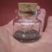Apatosaurus / Brontosaurus at a museum in a tiny bottle