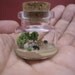 Lots of animals in safari, some are drinking water in a tiny bottle