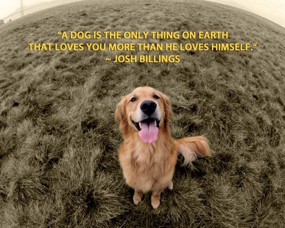 Items similar to A Dog's Love - 8 x 10 Print on Etsy