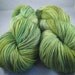 Superwash Falkland Hand Painted Sock Fingering Weight Yarn - Happy Frog