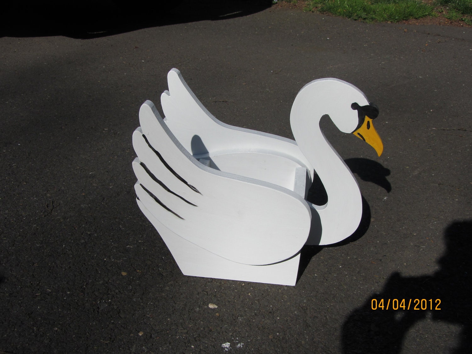 Wood swan