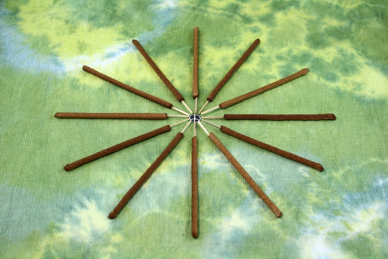 Cinnamon Sage All Natural Hand Rolled Incense by LeftoverHippies