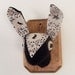 Faux Taxidermy - Black Hare- Medium