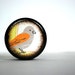 Orange And Grey Bird Pill Box