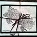 Lion fish Notecards