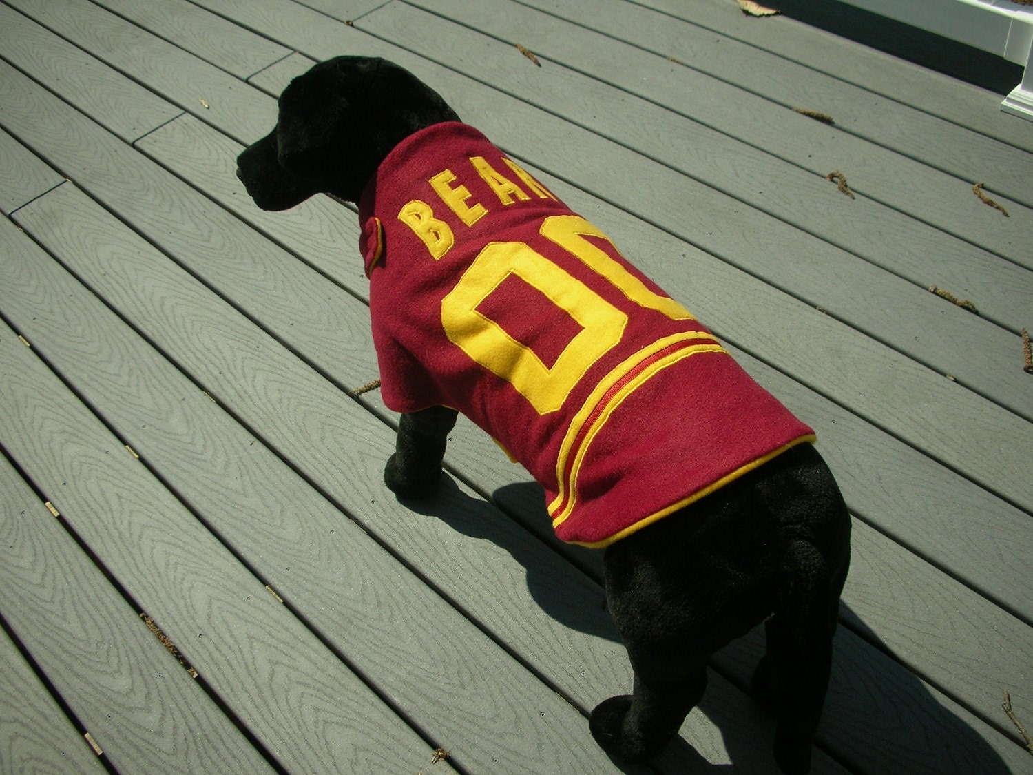 3080 lbs Team Jackets large dog personalized football dog