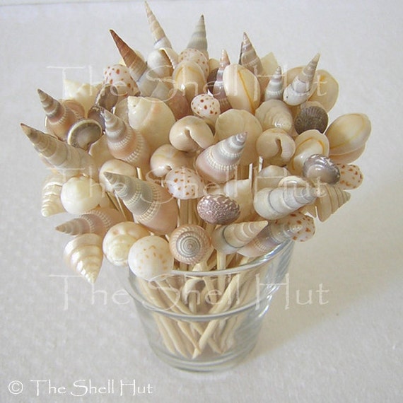 Seashell Toothpicks Appetizer H'orderve Picks 4 Inch Beach Wedding Shower Appetizer Tropical Holiday Party
