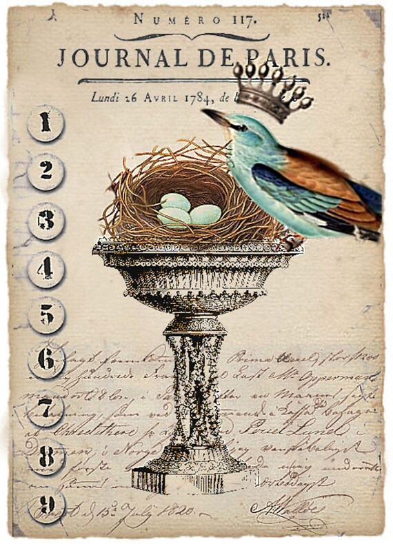 journal de parisvintage birdcollage by bellesaintemaison