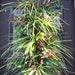 Summer Wreath Woodsy Grassy Swag Centerpiece Berry Wall Floral Arrangement Door Wreath Huge Luxe