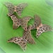 20 Copper Filigree Butterflies