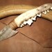 a stone knife with a jawbone handle