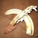 stone knife with jawbone handle