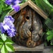 Bird House Rustic And Shabby