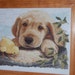 COMPLETED CROSS STITCH - Yellow Lab and Baby Chick