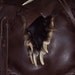 Badger paw dark brown deerskin leather possibles bag 2 compartments OOAK mountain man rendezvous totem