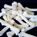 x5, 2 - 3 Inch Black Bear Toe Bones - Real Bone, Taxidermy, R6278 - Grade A