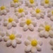 Custom order for TLCox14 200 sugar daises