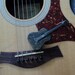 Vintage Acoustic Guitar Belt Buckle