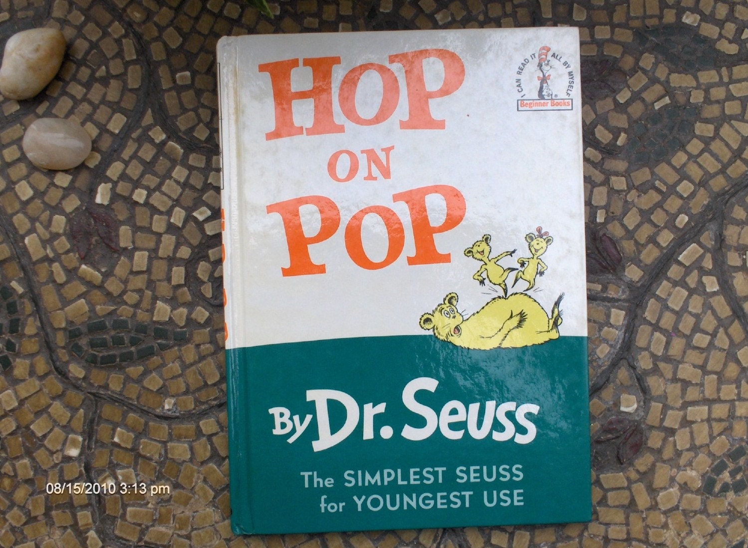 hop on pop 1963