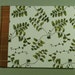 Guest Book Handmade MAIDENHAIR FERN
