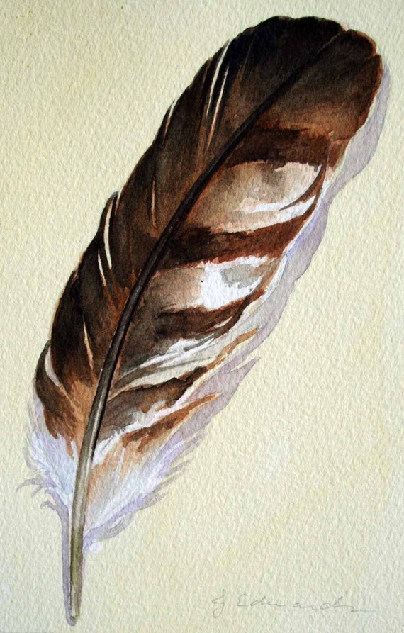 Feather 79 Cooper's Hawk Feather Original Watercolour